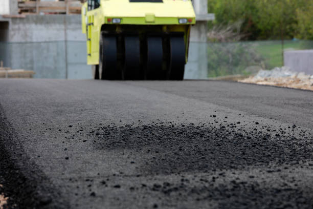 Best Driveway Paving Contractor  in Jarrell, TX