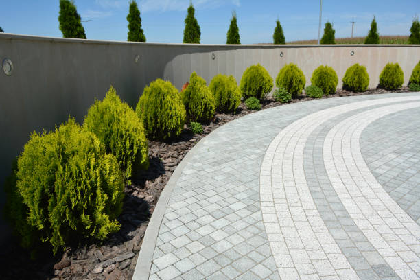 Best Paver Driveway Replacement  in Jarrell, TX